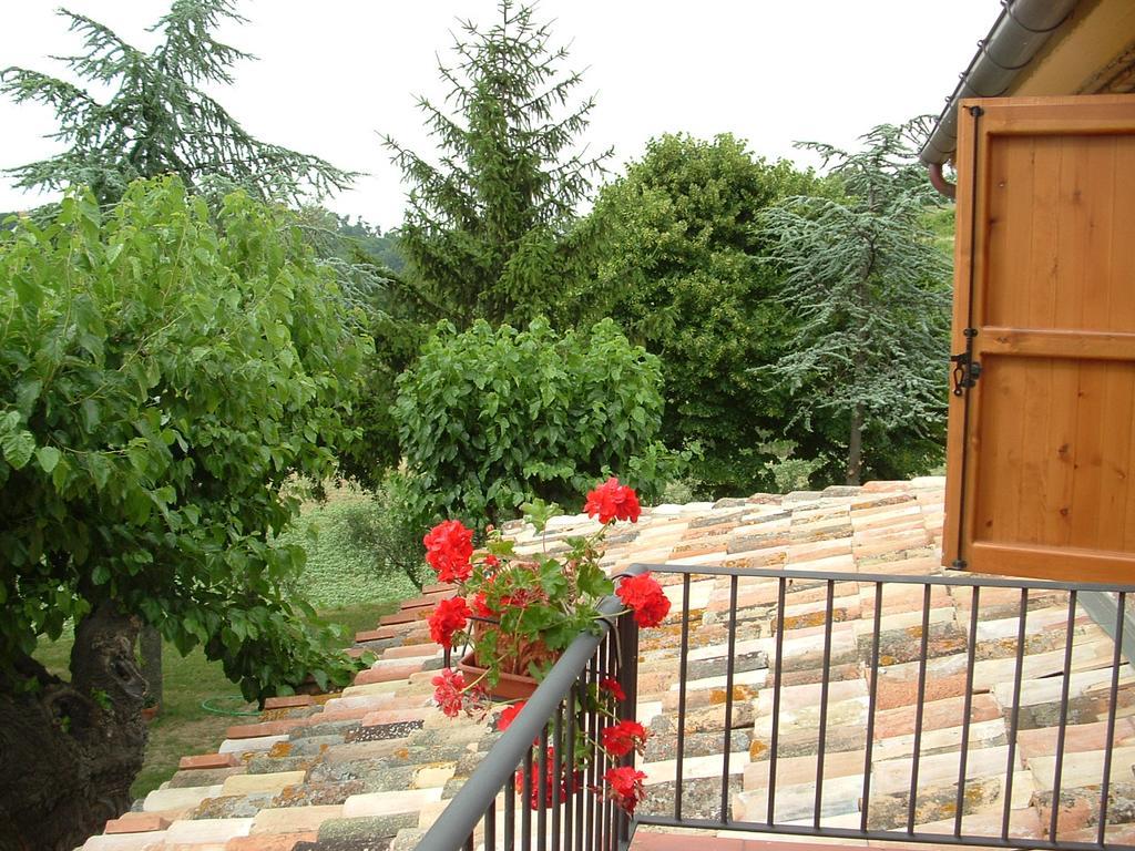 Agriturismo Il Bacucco Montecarotto Extérieur photo