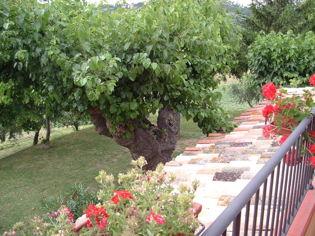 Agriturismo Il Bacucco Montecarotto Extérieur photo