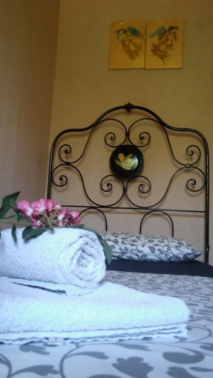 Agriturismo Il Bacucco Montecarotto Extérieur photo