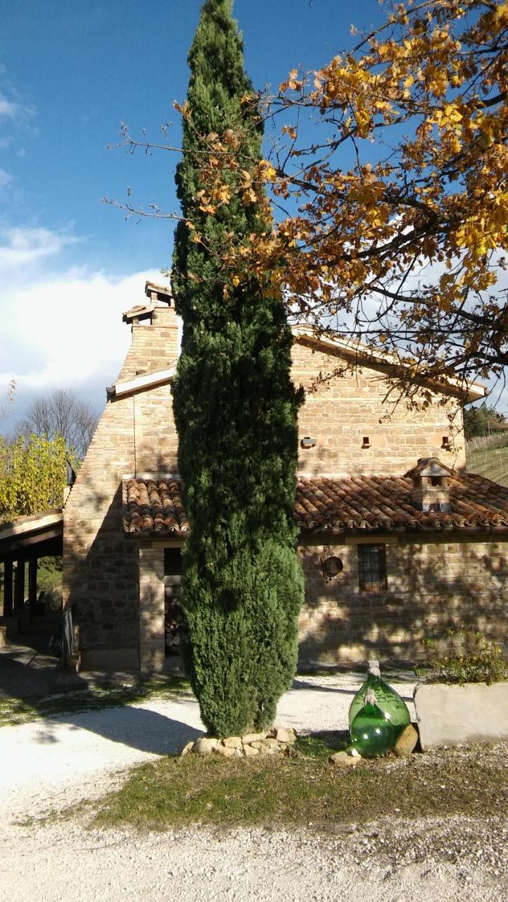 Agriturismo Il Bacucco Montecarotto Extérieur photo