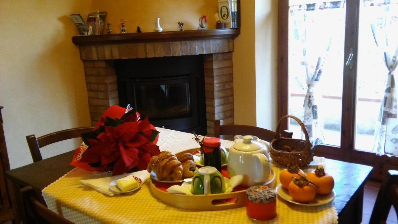 Agriturismo Il Bacucco Montecarotto Extérieur photo
